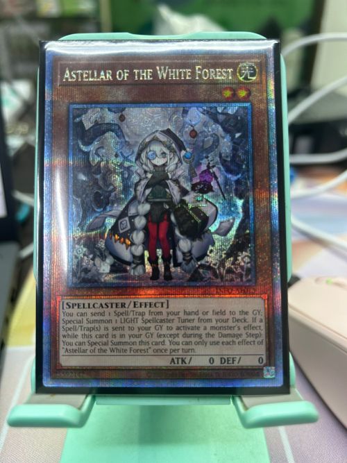 INFO-AE013 ASTELLAR OF THE WHITE FOREST 白之森 阿斯特莉亞